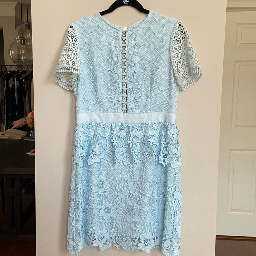 Ted Baker London DIXA Lace Dress - Picture 2 of 12